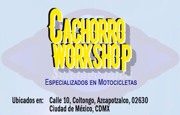 CachorroWorkshop